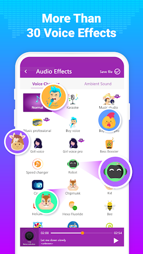 Səs dəyişdirici - Səs effekti